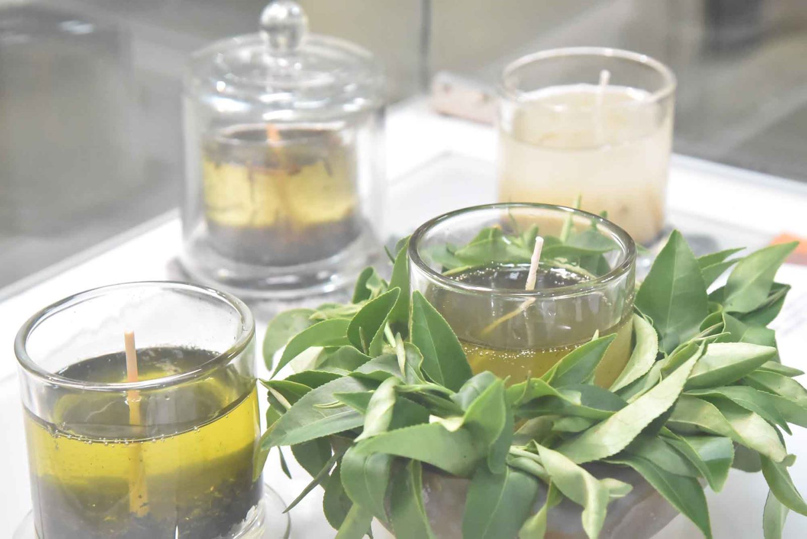 華梵大學美術系碩士生施素玫「茶香風情蠟」系列。